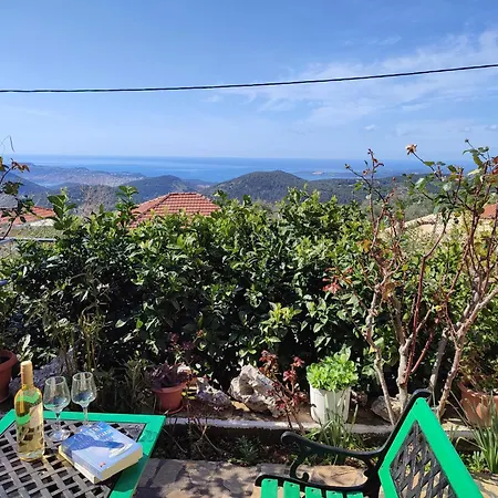 公寓 Dimitra's Cozy