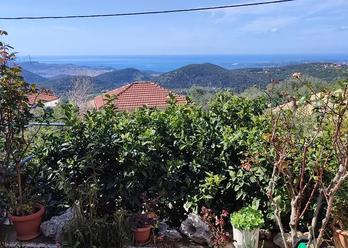 Dimitra's Cozy Dilináta